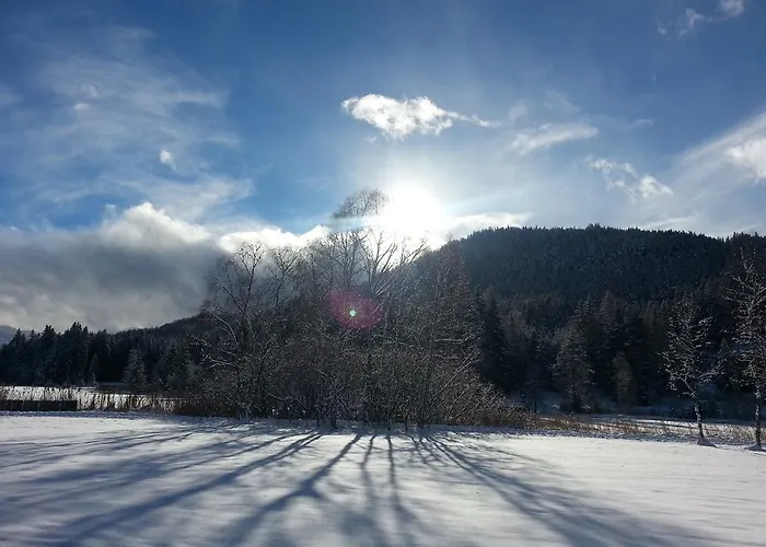 Casa de hóspedes Ramona 3*